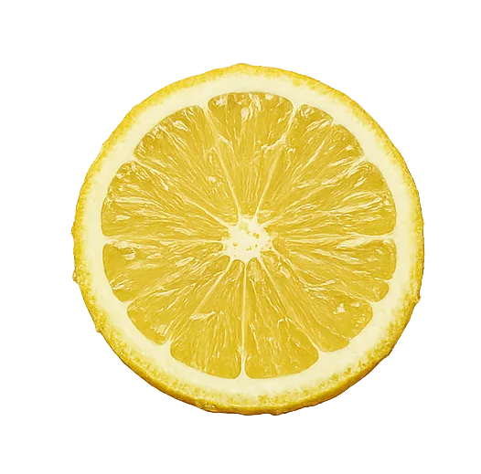 Lemon Slice